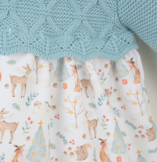 Winter Friends Dress Alpine