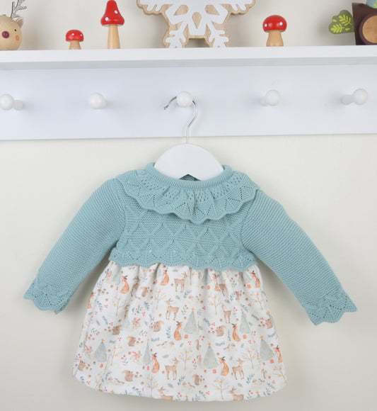 Winter Friends Dress Alpine