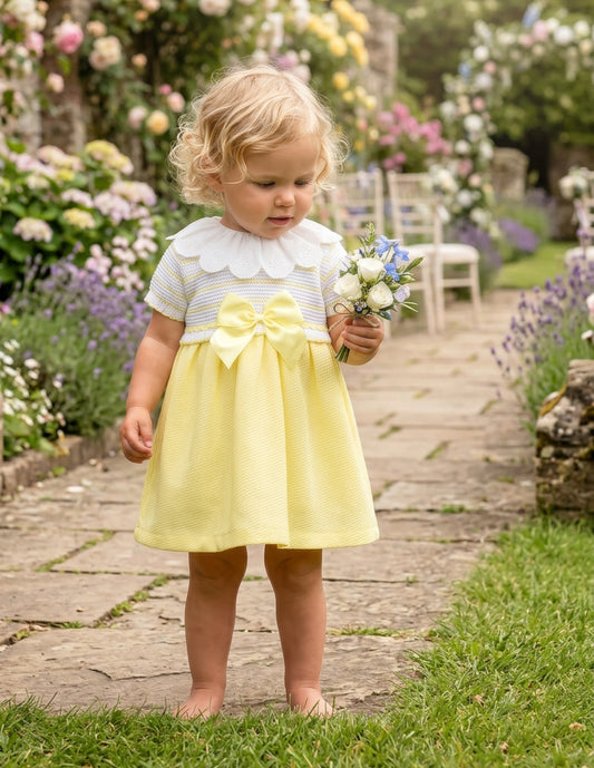 Tabitha Dress Lemon